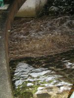unwettereinsatz 01 2009 03